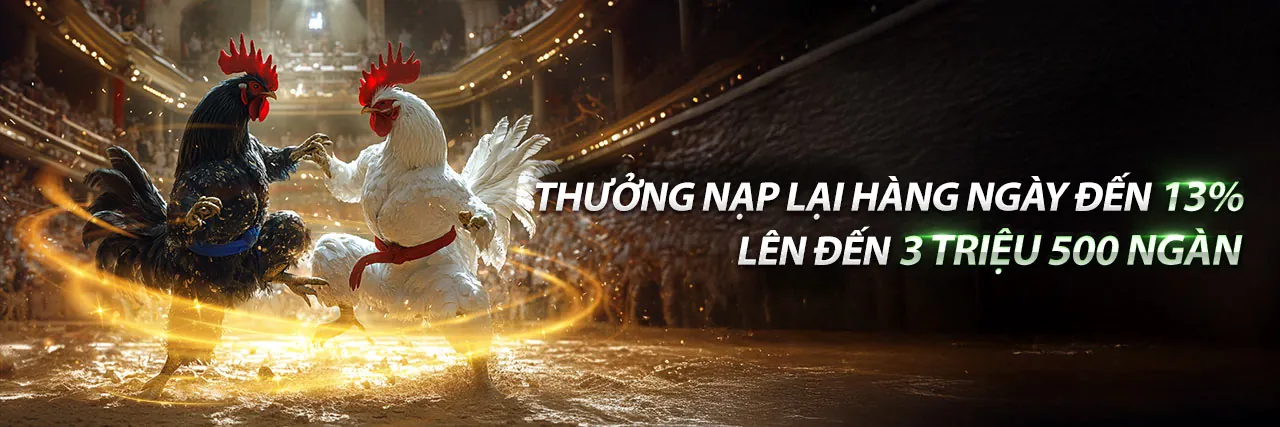 Đá gà kịch tính tại vip79 nhà cái