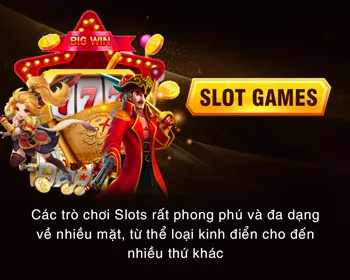 Chương trình hoàn trả và điểm thưởng VIP