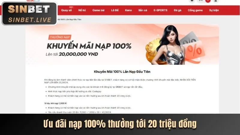 Khuyến mãi và ưu đãi VIP79 Nhà Cái
